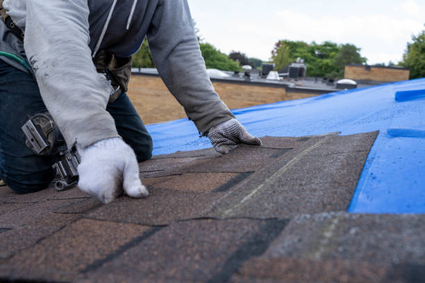 Best Roof Gutter Cleaning  in Cheverly, MD